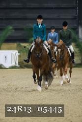 24R13_05445 thumbnail