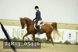 24R13_05446 thumbnail