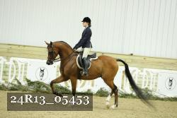 24R13_05453 thumbnail