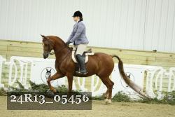 24R13_05456 thumbnail