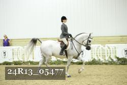 24R13_05477 thumbnail