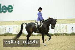 24R13_05480 thumbnail