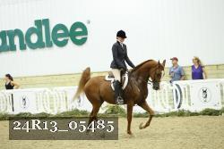 24R13_05485 thumbnail