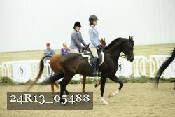 24R13_05488 thumbnail