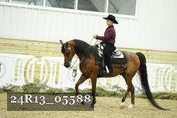 24R13_05588 thumbnail