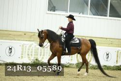 24R13_05589 thumbnail