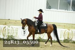 24R13_05590 thumbnail