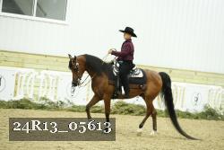 24R13_05613 thumbnail