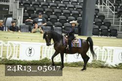 24R13_05617 thumbnail