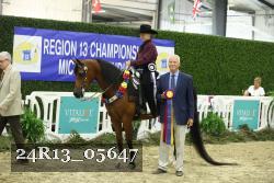 24R13_05647 thumbnail