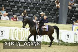 24R13_05658 thumbnail