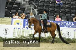 24R13_05662 thumbnail