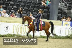 24R13_05675 thumbnail