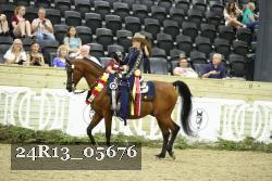 24R13_05676 thumbnail