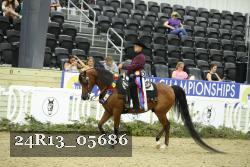 24R13_05686 thumbnail