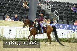 24R13_05687 thumbnail
