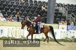 24R13_05689 thumbnail