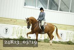 24R13_05719 thumbnail