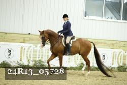 24R13_05728 thumbnail