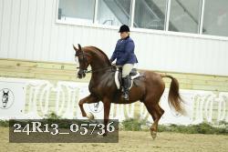 24R13_05736 thumbnail