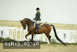 24R13_05740 thumbnail