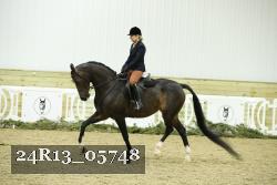 24R13_05748 thumbnail