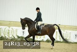 24R13_05758 thumbnail