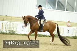 24R13_05777 thumbnail