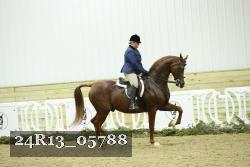 24R13_05788 thumbnail