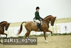 24R13_05790 thumbnail