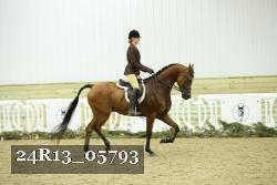 24R13_05793 thumbnail