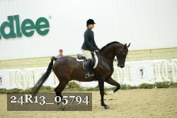 24R13_05794 thumbnail