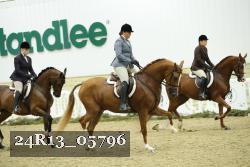 24R13_05796 thumbnail