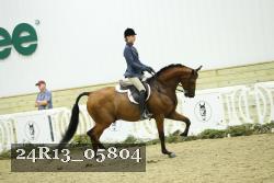 24R13_05804 thumbnail
