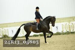 24R13_05805 thumbnail