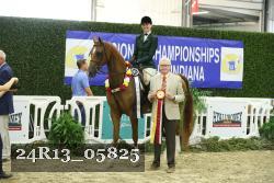 24R13_05825 thumbnail