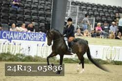24R13_05836 thumbnail