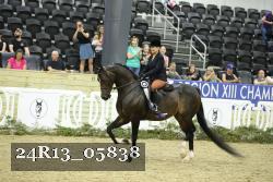 24R13_05838 thumbnail