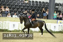24R13_05839 thumbnail