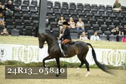24R13_05840 thumbnail