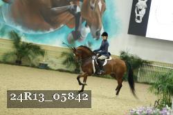 24R13_05842 thumbnail