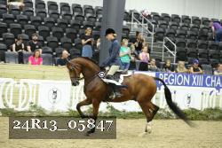 24R13_05847 thumbnail