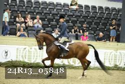 24R13_05848 thumbnail