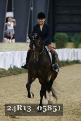 24R13_05851 thumbnail