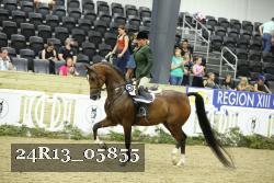 24R13_05855 thumbnail