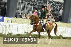 24R13_05856 thumbnail
