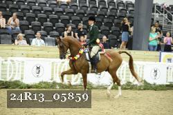 24R13_05859 thumbnail