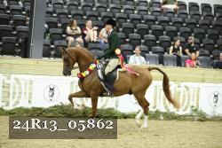 24R13_05862 thumbnail