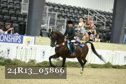 24R13_05866 thumbnail