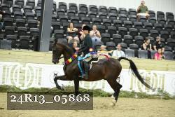 24R13_05868 thumbnail